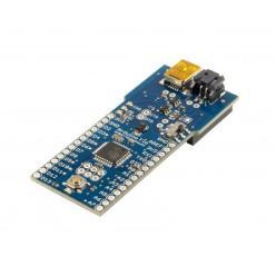 ARDUINO FIO