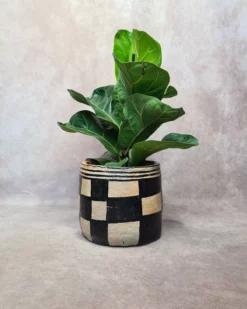 TERRE DE DAMES Cache-pot en céramique Poterie de Sejnane