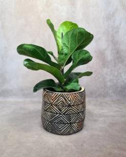 HARMONIE Cache pot en céramique artisanale fait main en poterie de Sejnane