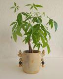 Anaspika Cache-pot céramique artisanal TAZIRI Poterie de Sejnane fait main