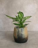 Anaspika Cache-pot terre cuite artisanal LONA Tie dye & beige