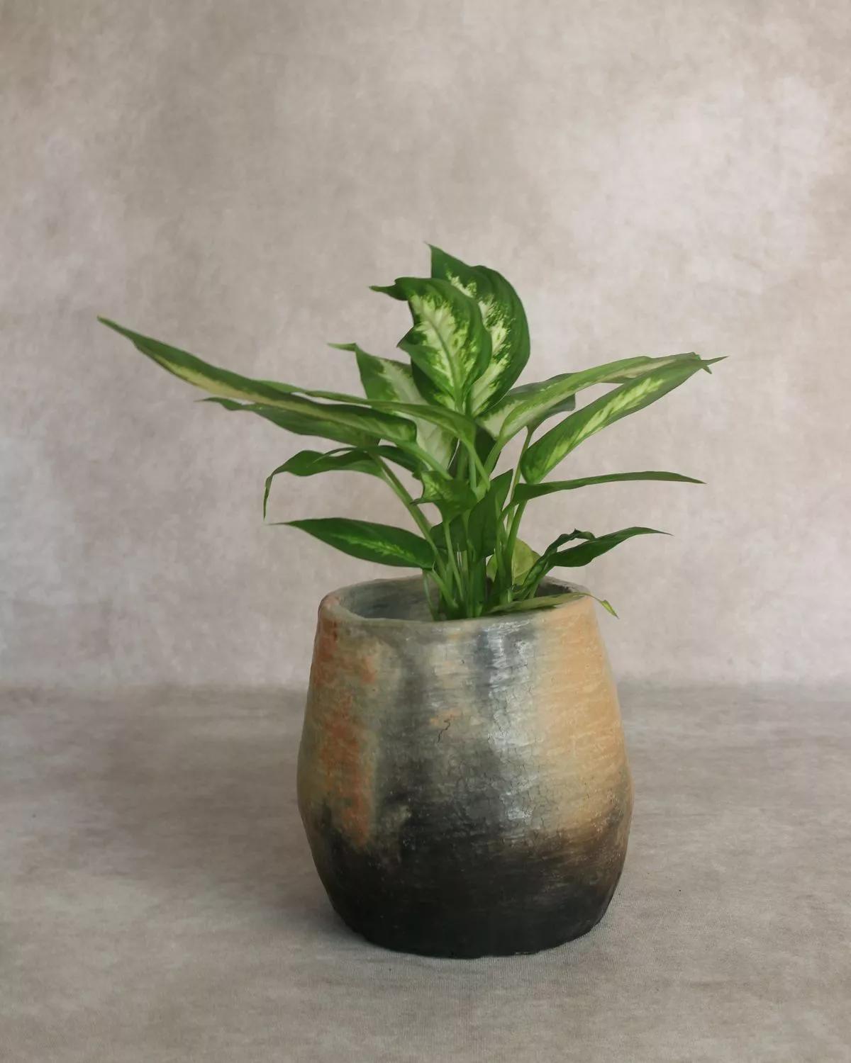 Anaspika Cache-pot terre cuite artisanal LONA Tie dye & beige