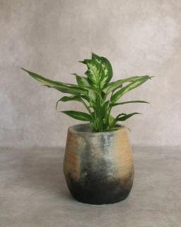 Anaspika Cache-pot terre cuite artisanal LONA Tie dye & beige