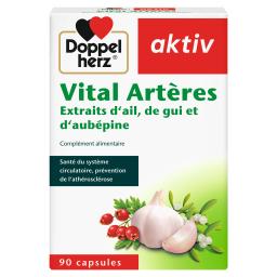 AKTIV LABORATOIRE LABORATOIRE VITAL ARTERES BT 90