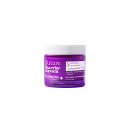 BEESLINE FUTURE BARRIERE