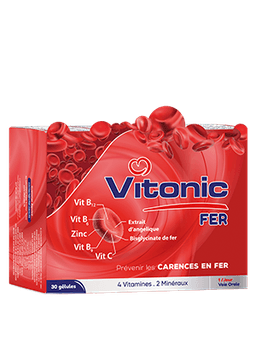 VITAL LABORATOIRES LABORATOIRES VITONIC FER B 30