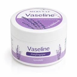 young health health MERYNAT VASELINE ANTIFONGIQUE 100G