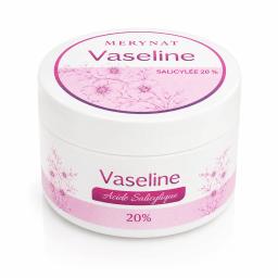 young health health MERYNAT VASELINE ACIDE SALICYLIQUE 20%100G