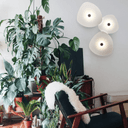 Flower Led Egoluce