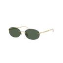 Ray-Ban RB3767