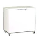 Mont Blanc Horizontal ECF300 300 Litres