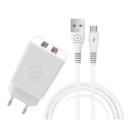 Chargeur T55 3.1A Type C