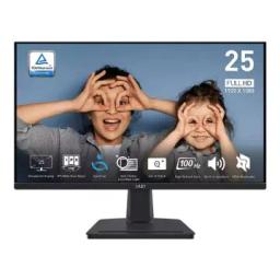 Msi Ecran PRO MP251 24,5" FHD -100Hz 1ms
