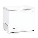 Horizontal FRIG-TLF320N 320 Litres