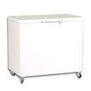 Mont Blanc Horizontal ECF300 300 Litres
