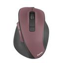 MW-500 V2 Marron
