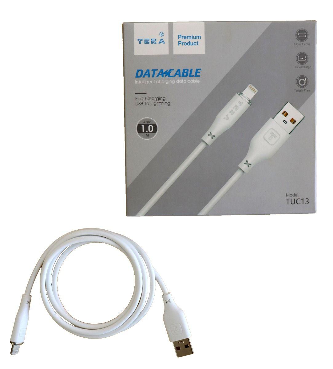 Apple Câble TERA Silicone 13 Pour