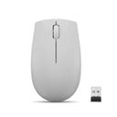 Lenovo Sans Fil Compact 300 Arctic Gre arctique