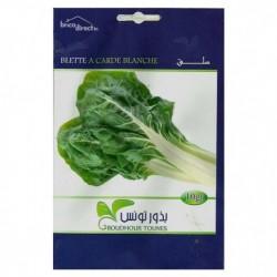 Graines semis Blettes à Carde Blanche سلق