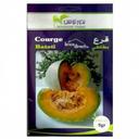 Graines semis Courges Batati قرع بطاطي