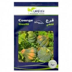 Graines semis Courges Guelii قرع قلعي