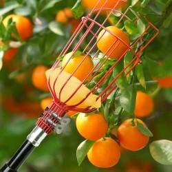 Collecteur Panier de fruits HARDEN