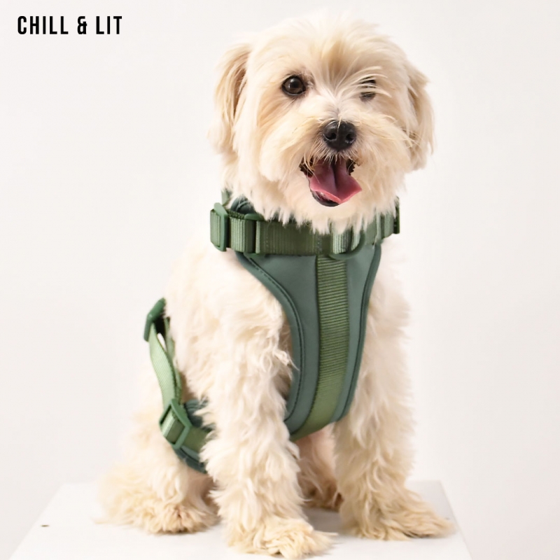 Harnais Pour Chien