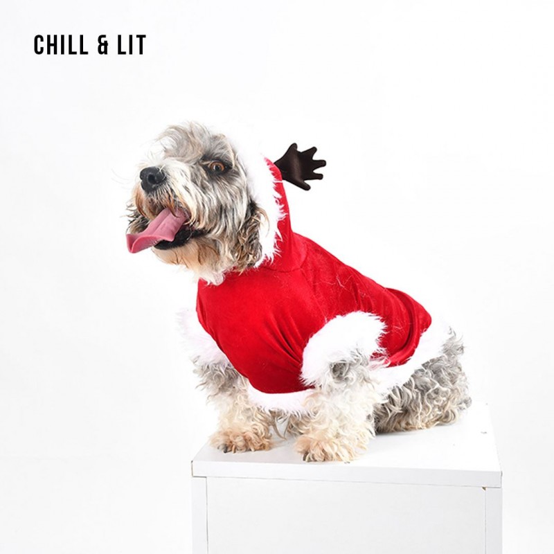 Pull Père Noel Pour Chien