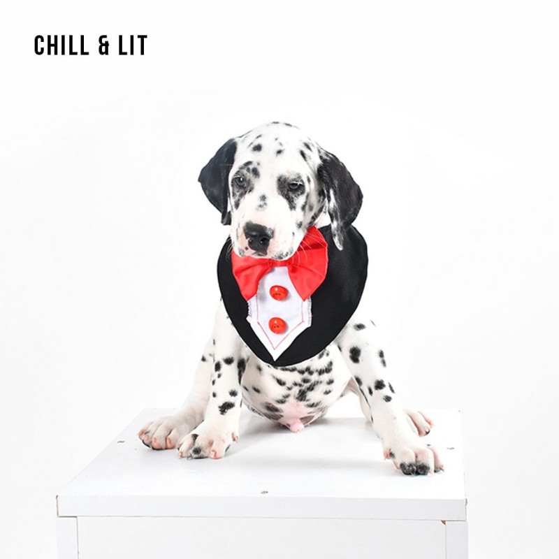Bandana Costume Pour Chien