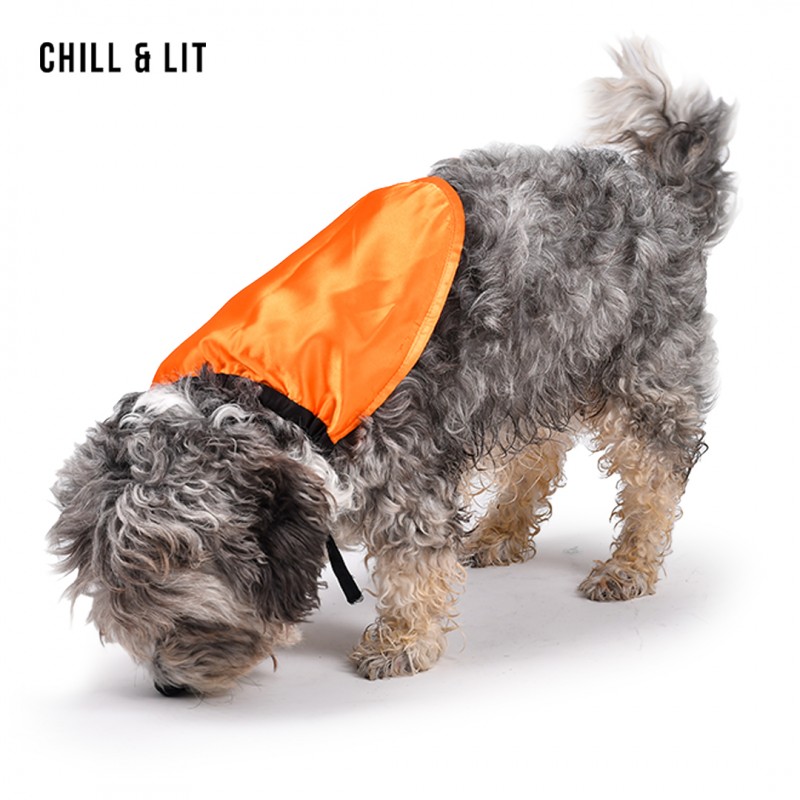 Cap Chien