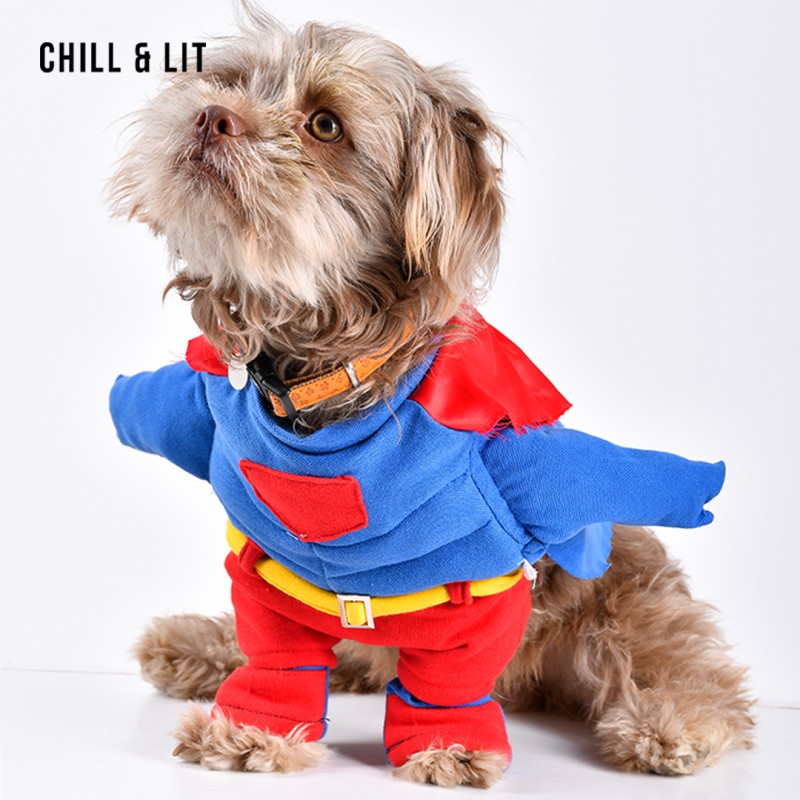 Costume Superman Pour Chien
