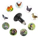 chauffante Lampe chauffante 150w