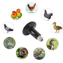 chauffante Lampe chauffante 150w