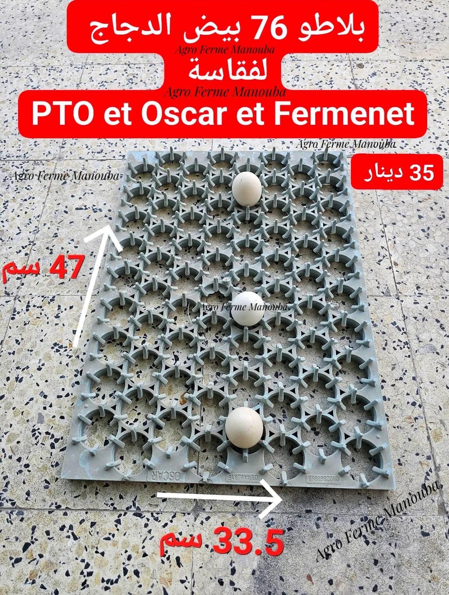 OEUFS PLATEAU 76 OEUFS