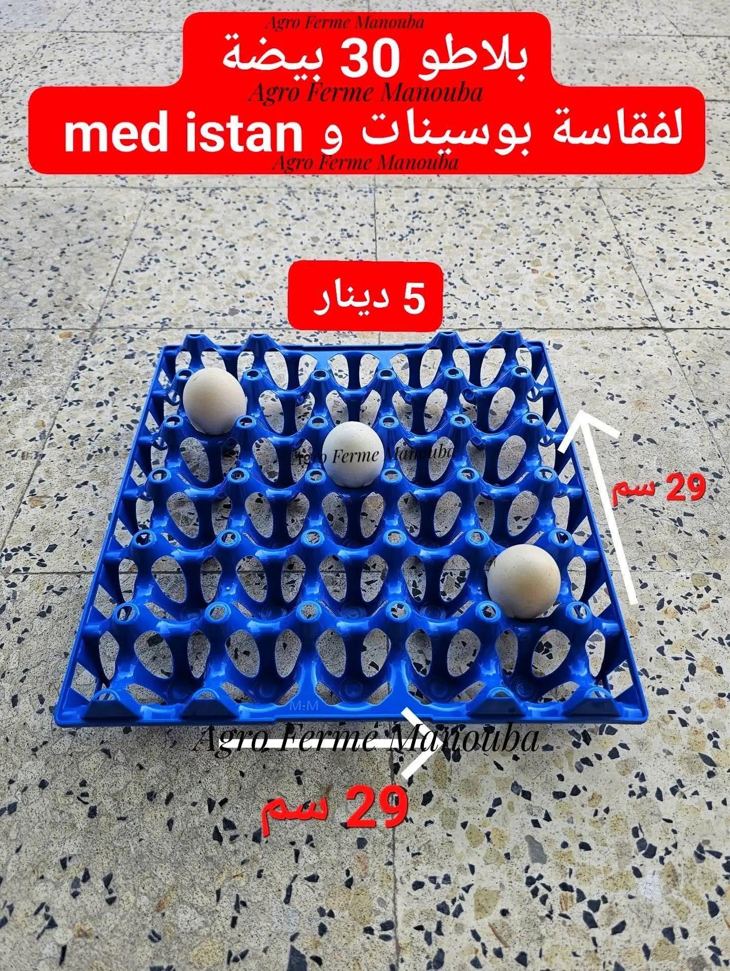 OEUFS PLATEAU 30 OEUFS