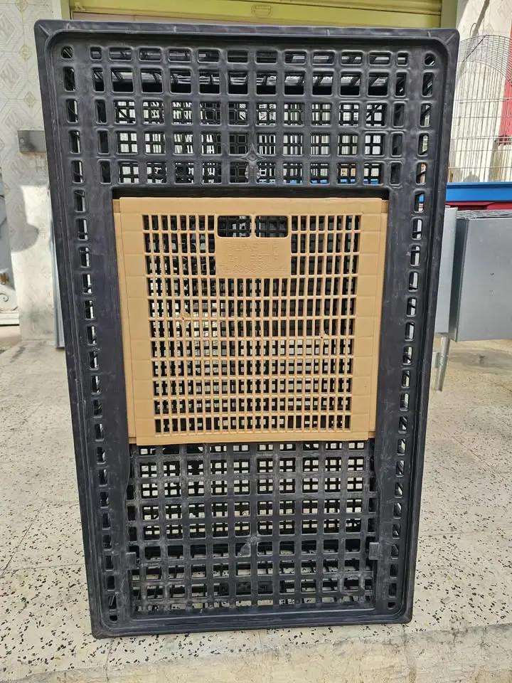 CAGE CAGE DE TRANSPORT