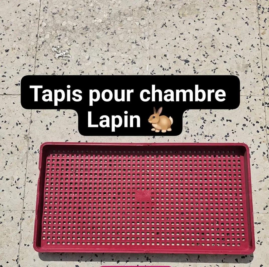 LAPINS TAPIS LAPINS