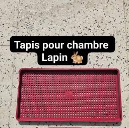 LAPINS TAPIS LAPINS