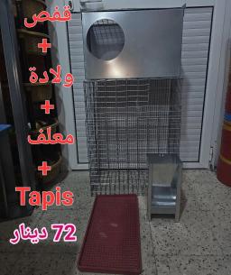 CAGE MATERNITÉ