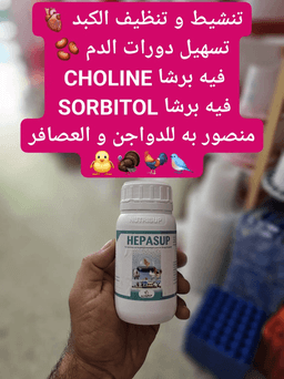 HEPASUP 250 ML