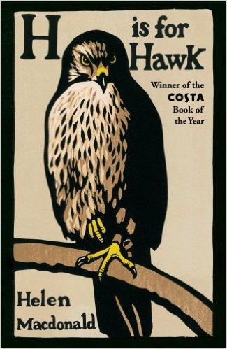 is for Hawk en anglais