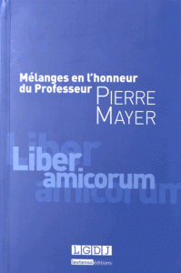 Professeur Pierre Mayer