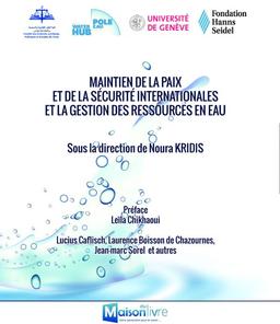 Maintien de la paix de la sécurité internationales la gestion des ressources en eau