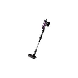 Rowenta X-Force 9.60 Allergie Kit