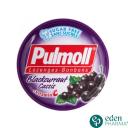 Pulmoll sans Sucre Saveur Cassis 45