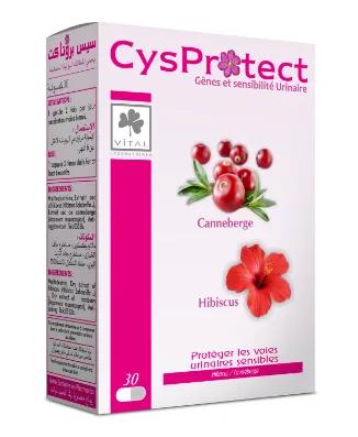 Vital Cysprotect 30 Gelules