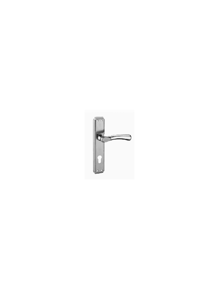 KUMRU POIGNEE SUR PLAQUE SATINE WC