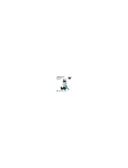 Pompe CAVE 1500W TWP7150026 TOTAL