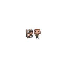 POP Vinyl: Harry Potter: Sirius