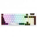 ADARA RGB